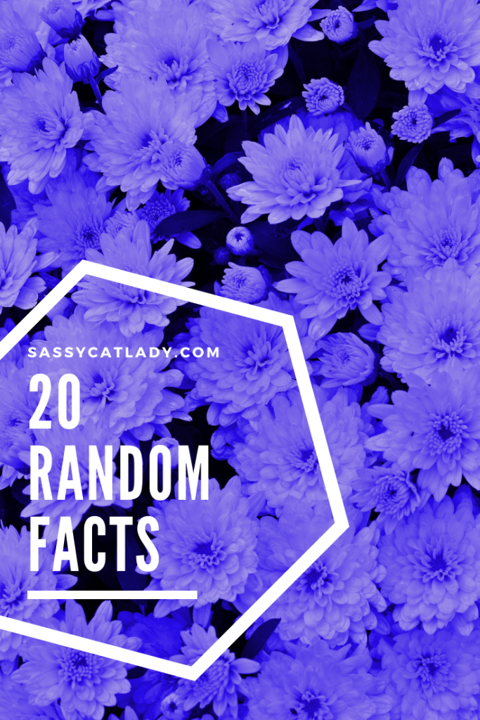 20 Random Facts Pinterest post